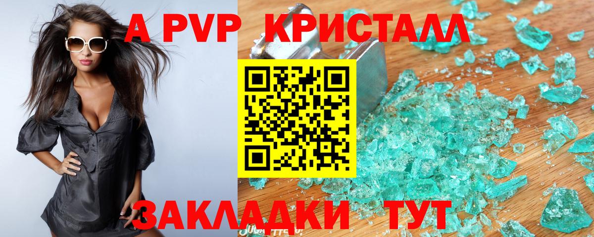Альфа ПВП СК КРИС Урус-Мартан