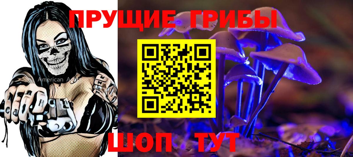 Урус-Мартан  Галлюциногенные грибы ЛСД  Вход с VPN 